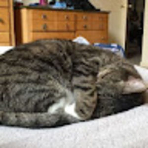 Meet your Posher, Jamie